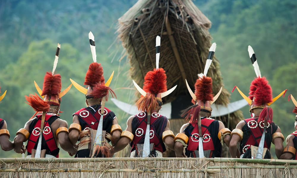 Nagaland Discovery