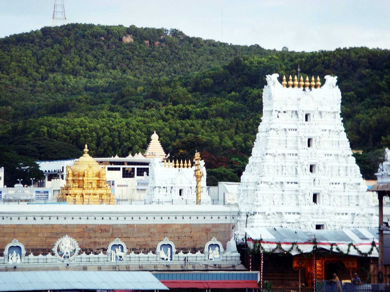 Tirupati Balaji Darshan